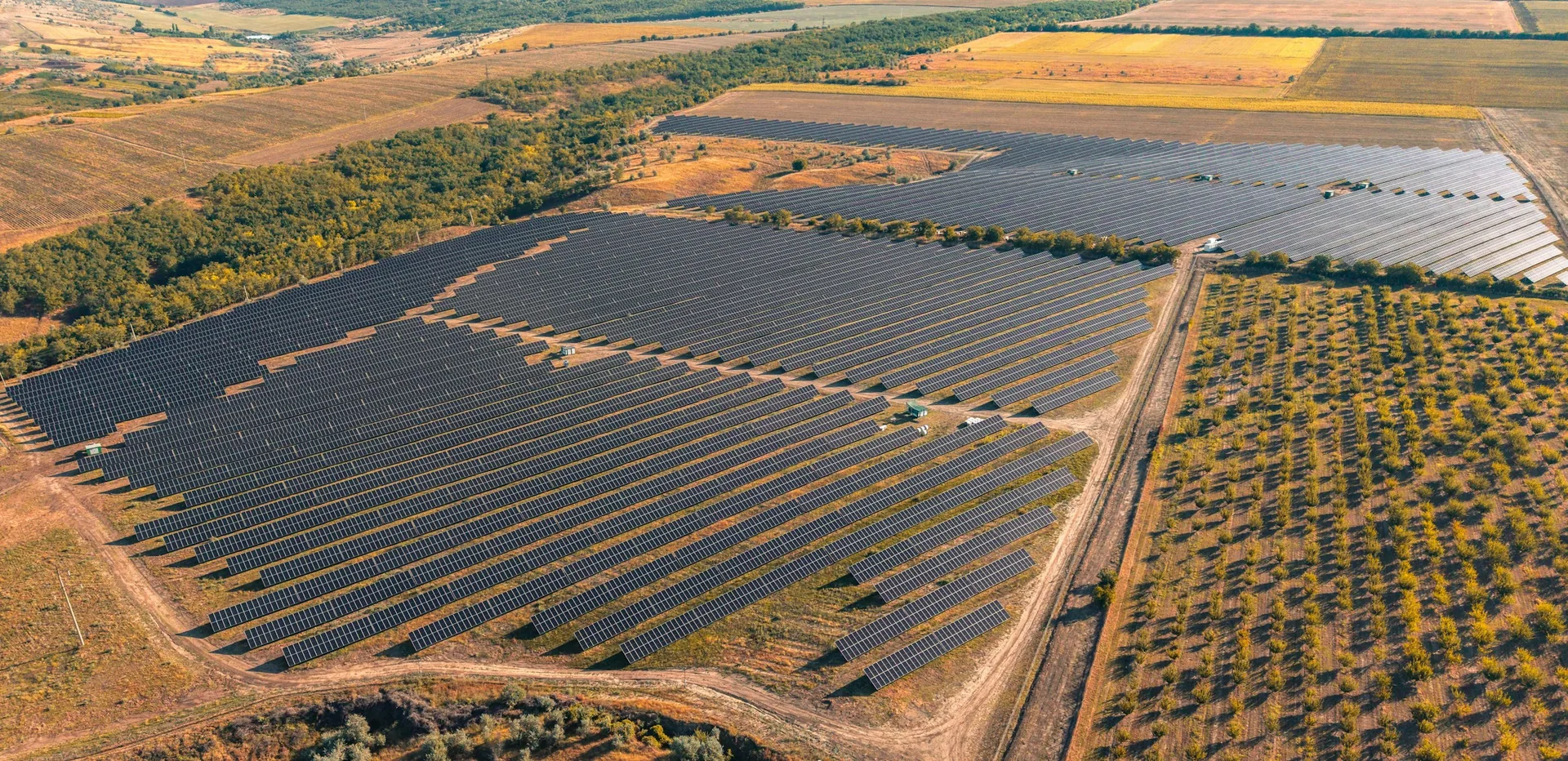 Aerial view of extensive solar panel rows beside orchards and fields.